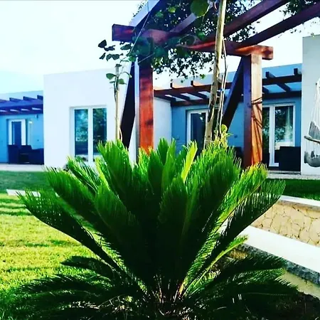 Charming House With Pool In Atalaia Holiday home